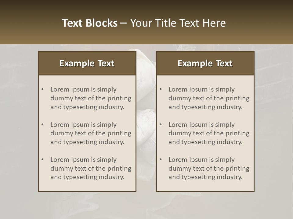 Switch Electric Home PowerPoint Template