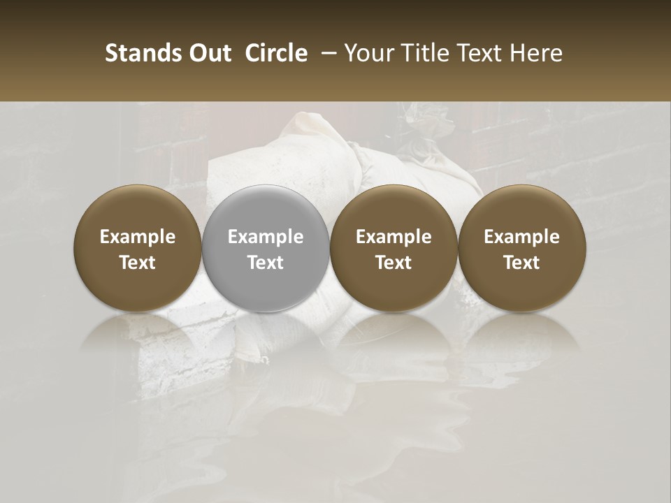 Switch Electric Home PowerPoint Template