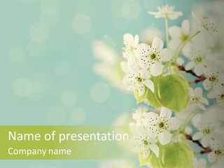 Part House Home PowerPoint Template
