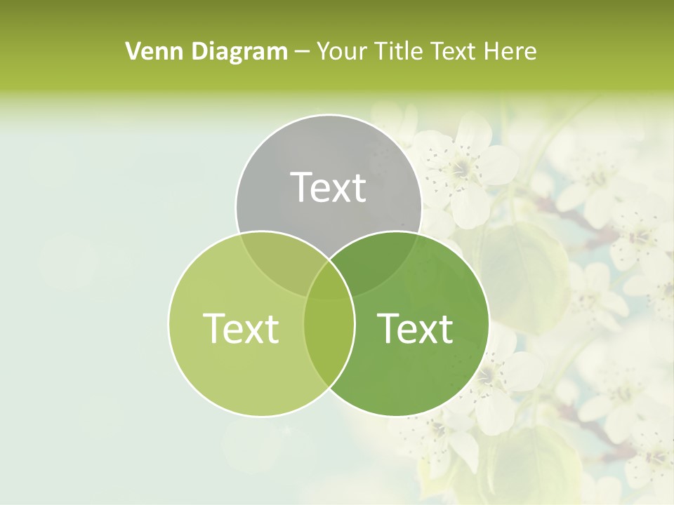 Part House Home PowerPoint Template