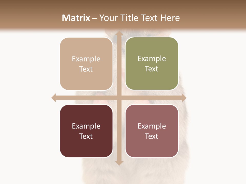 Conditioner Energy Power PowerPoint Template