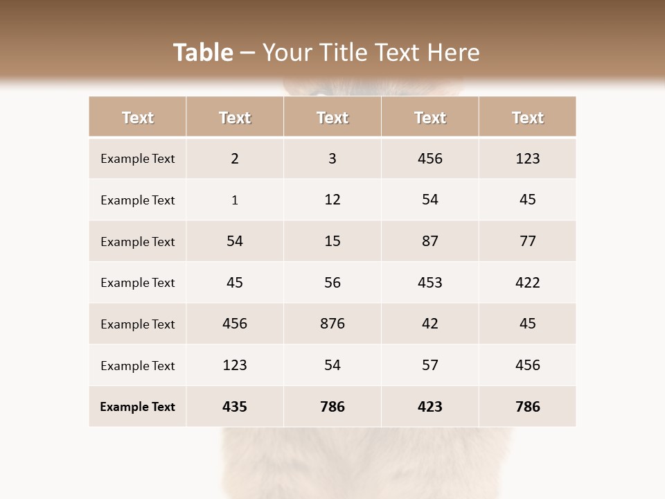 Conditioner Energy Power PowerPoint Template