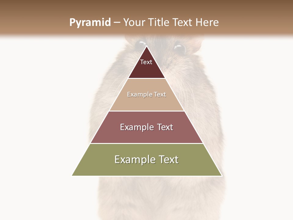 Conditioner Energy Power PowerPoint Template