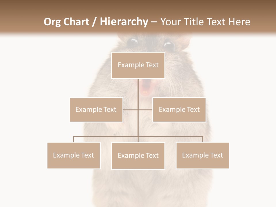 Conditioner Energy Power PowerPoint Template