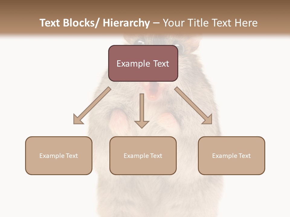Conditioner Energy Power PowerPoint Template