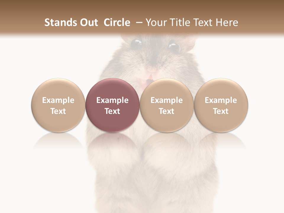 Conditioner Energy Power PowerPoint Template