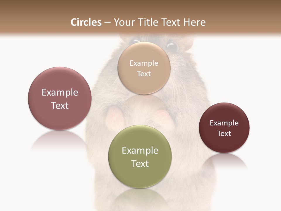 Conditioner Energy Power PowerPoint Template