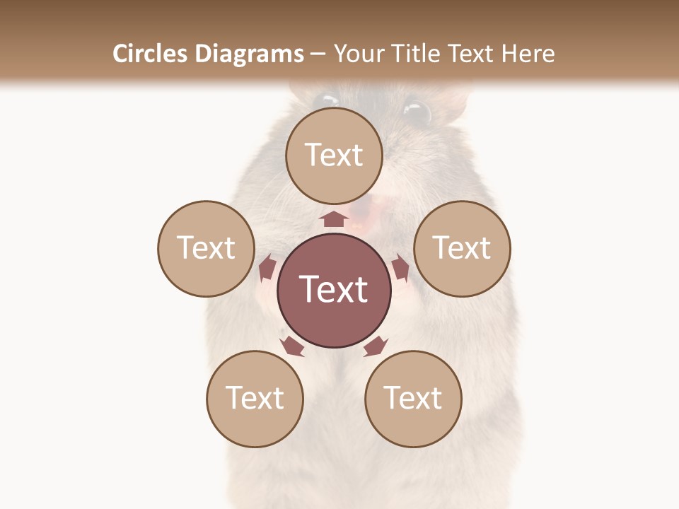 Conditioner Energy Power PowerPoint Template