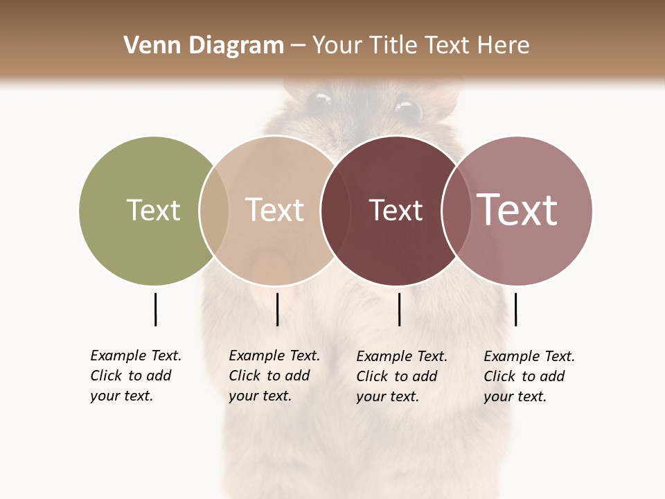 Conditioner Energy Power PowerPoint Template