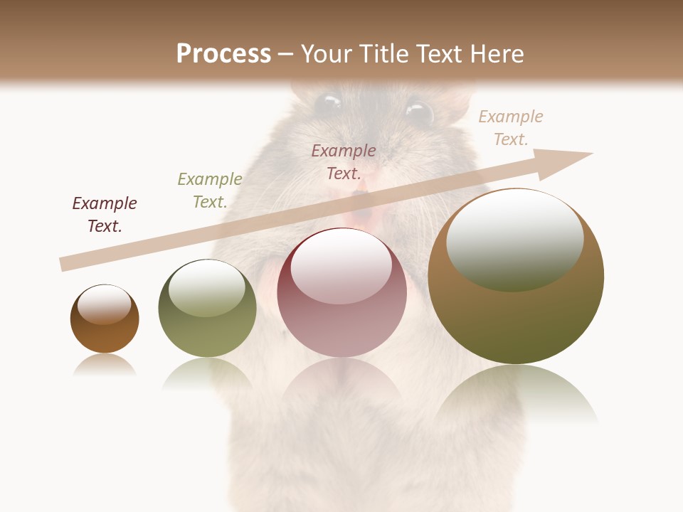 Conditioner Energy Power PowerPoint Template