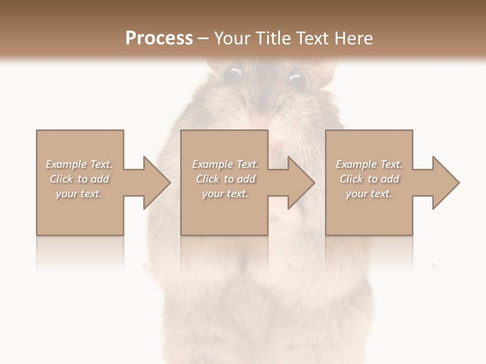 Conditioner Energy Power PowerPoint Template