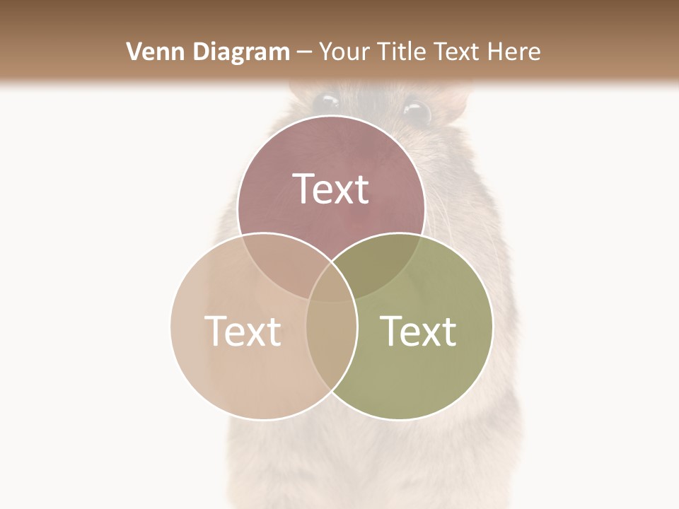 Conditioner Energy Power PowerPoint Template