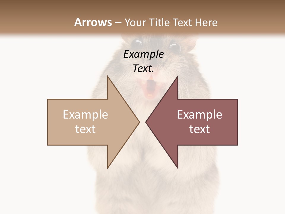 Conditioner Energy Power PowerPoint Template