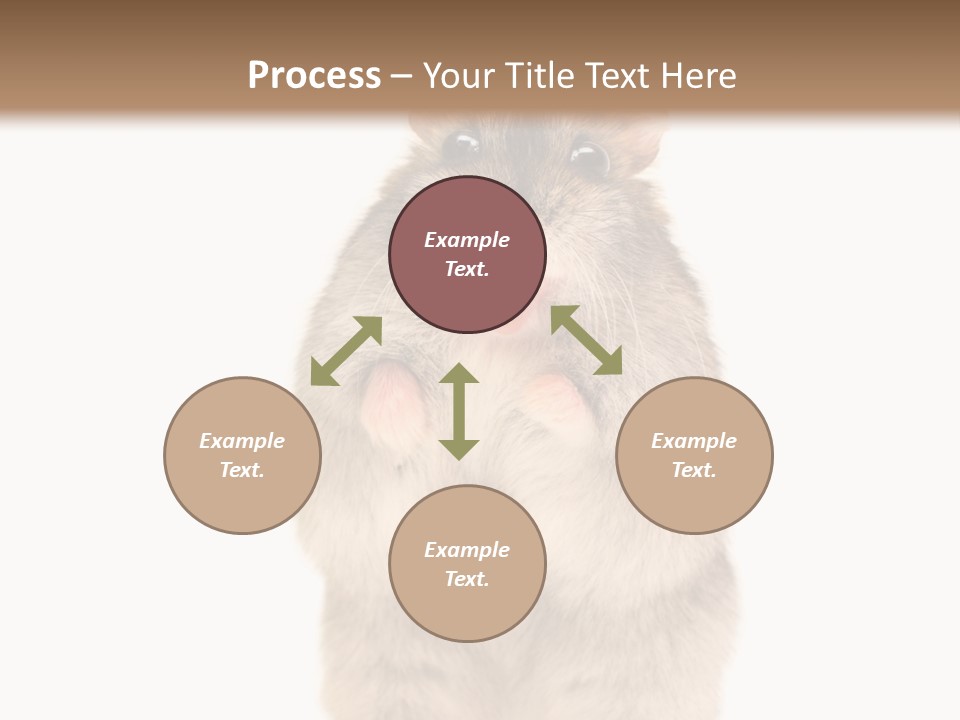 Conditioner Energy Power PowerPoint Template