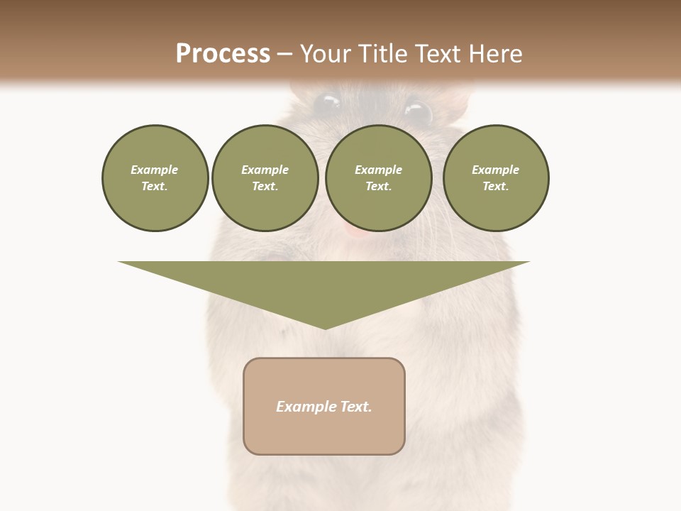 Conditioner Energy Power PowerPoint Template