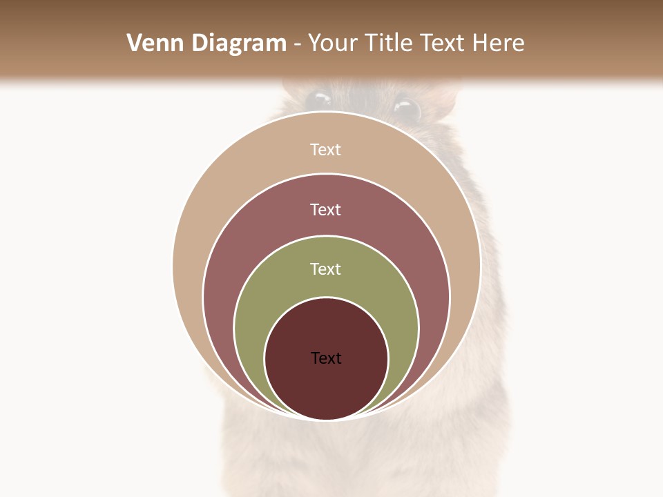 Conditioner Energy Power PowerPoint Template