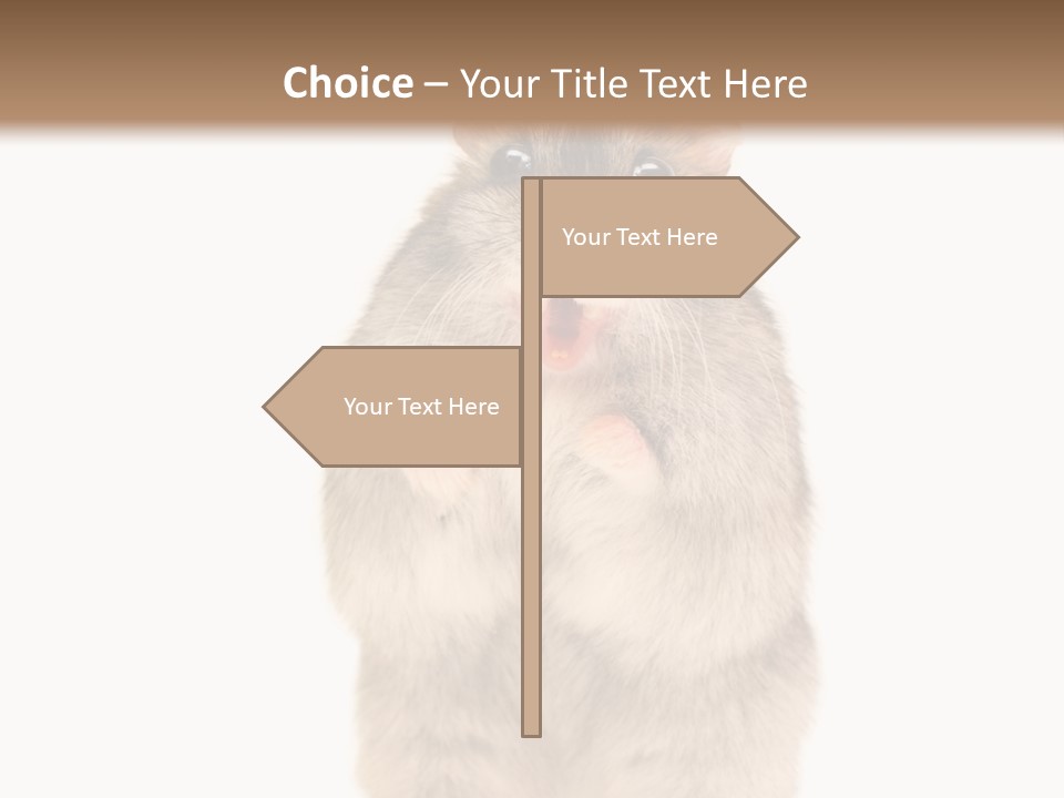 Conditioner Energy Power PowerPoint Template