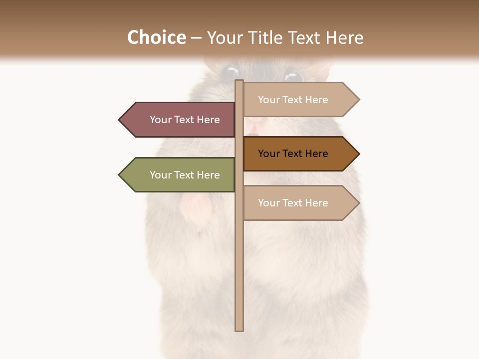 Conditioner Energy Power PowerPoint Template
