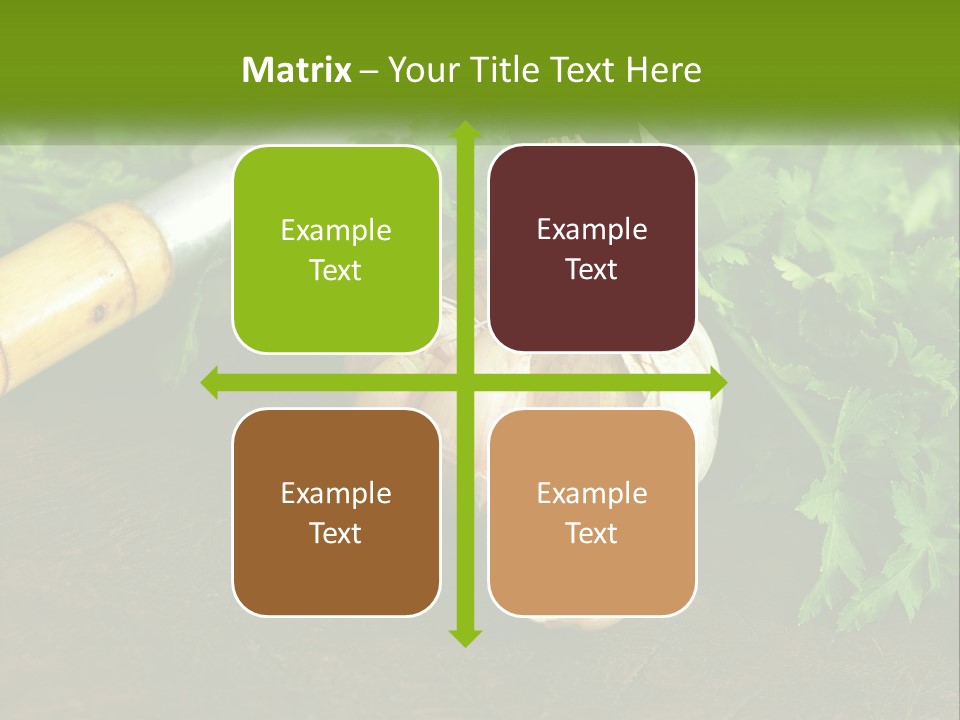 House Conditioner Cool PowerPoint Template