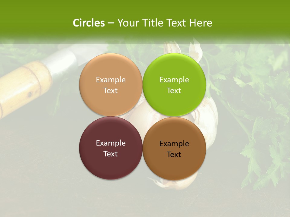 House Conditioner Cool PowerPoint Template