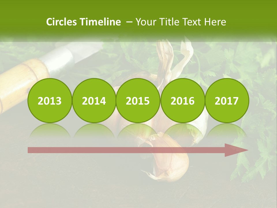 House Conditioner Cool PowerPoint Template