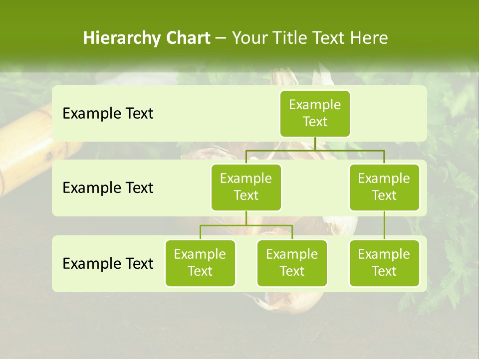 House Conditioner Cool PowerPoint Template