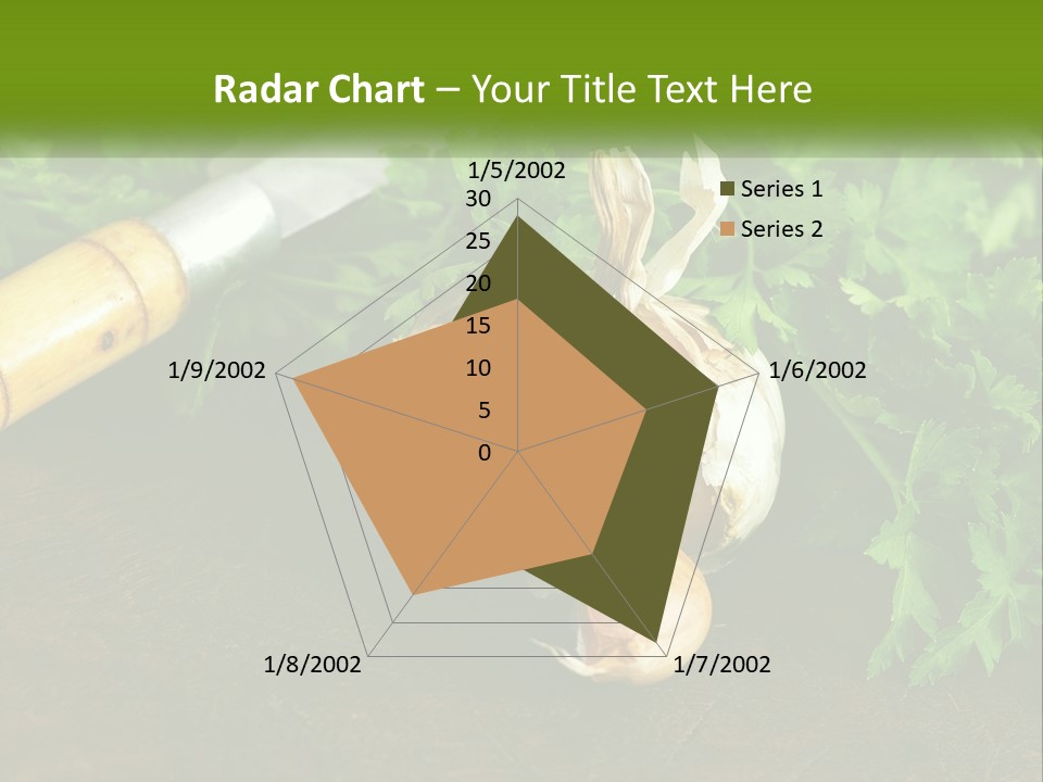 House Conditioner Cool PowerPoint Template