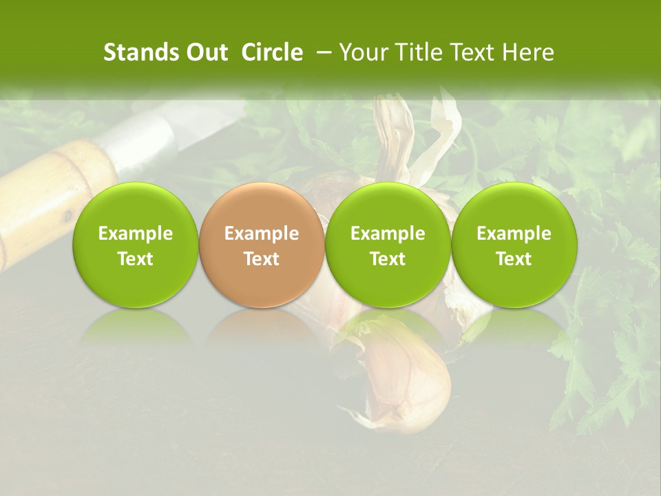 House Conditioner Cool PowerPoint Template