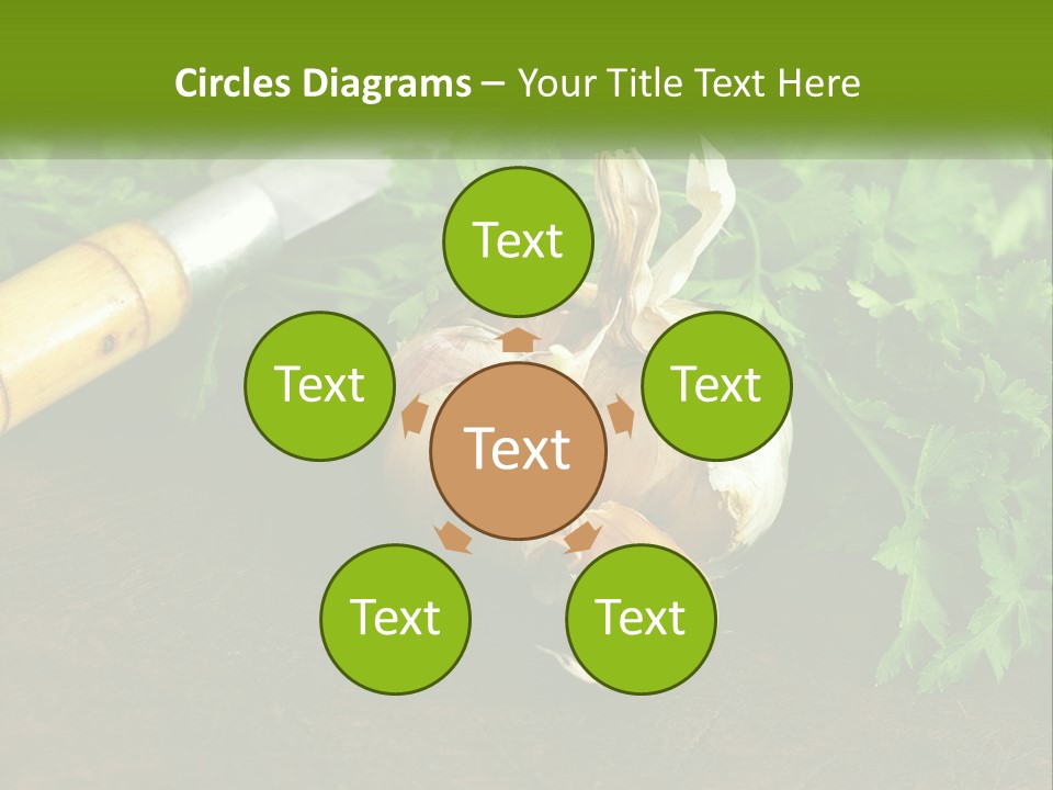 House Conditioner Cool PowerPoint Template