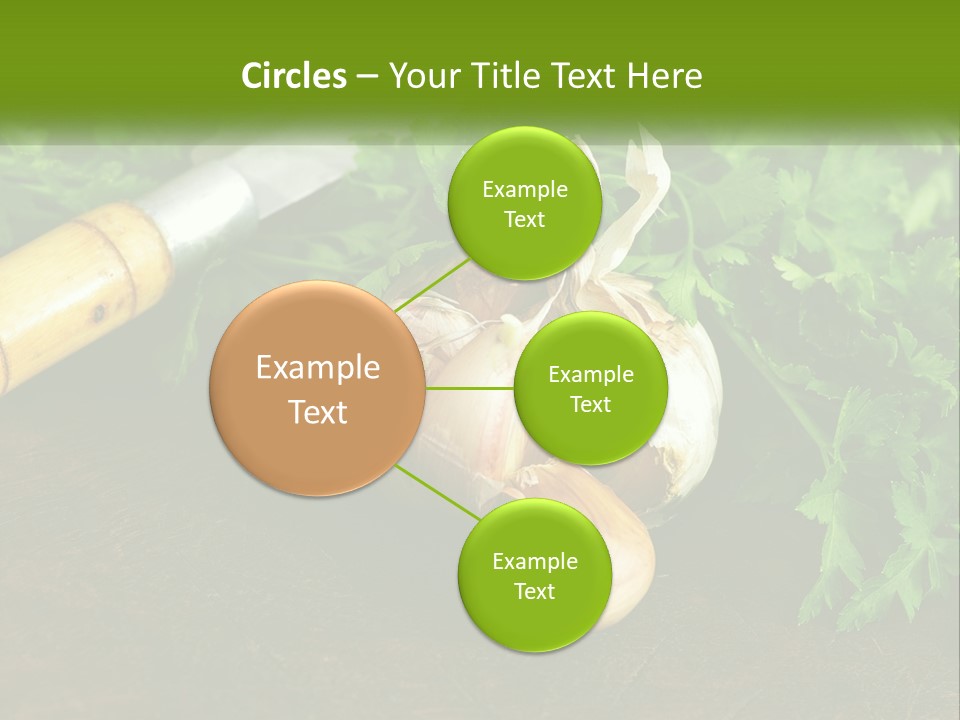 House Conditioner Cool PowerPoint Template