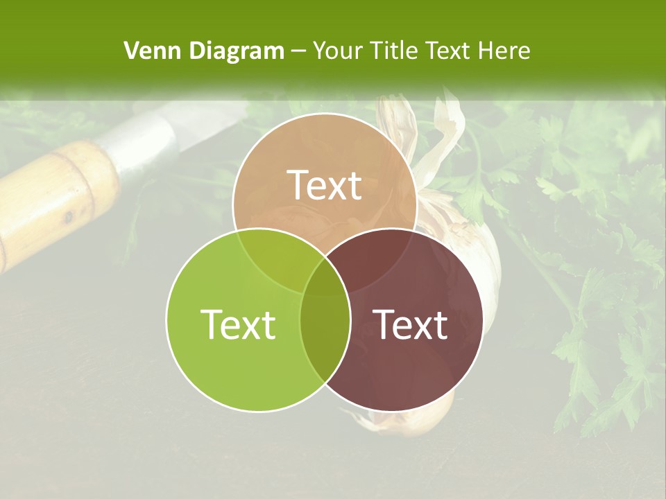 House Conditioner Cool PowerPoint Template