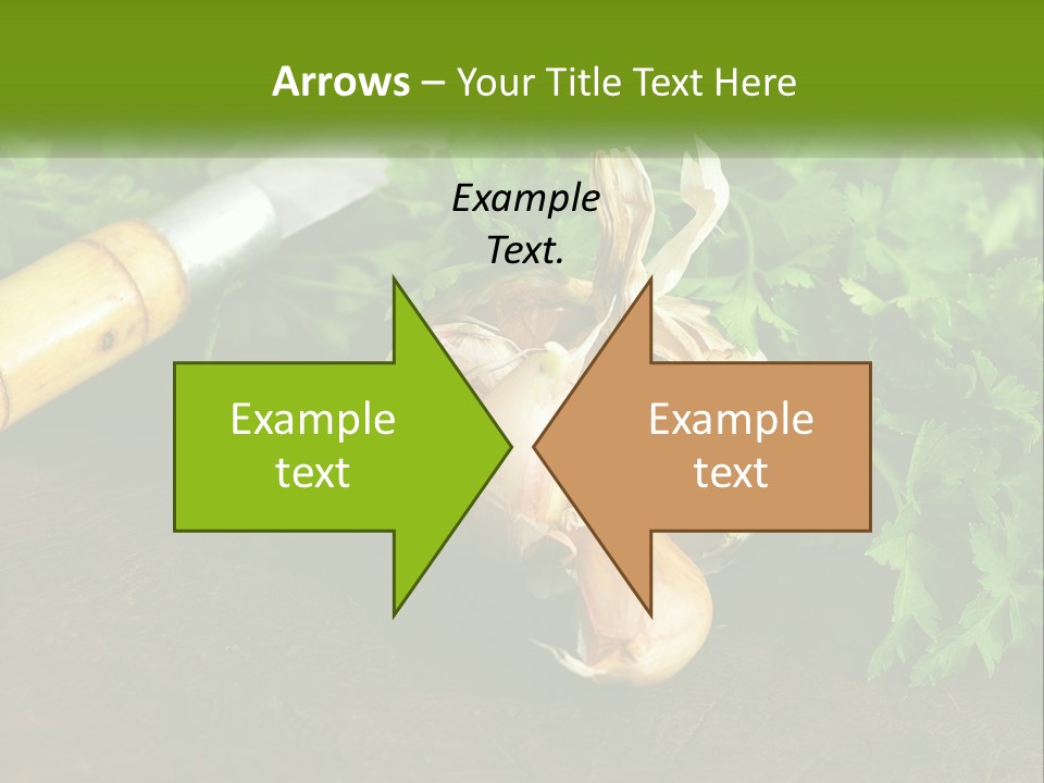 House Conditioner Cool PowerPoint Template