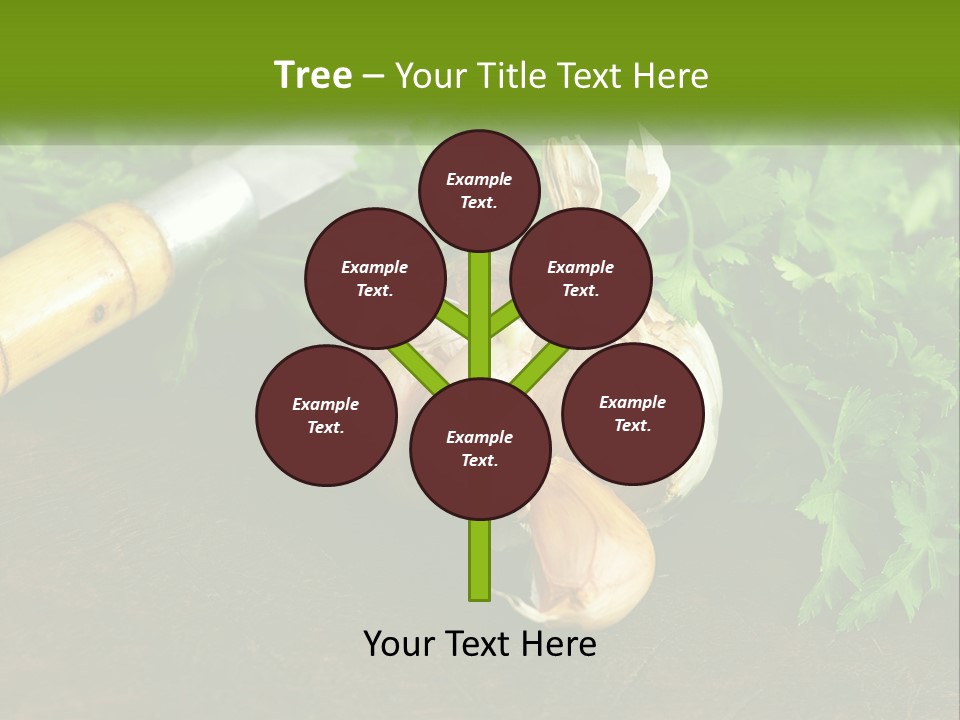 House Conditioner Cool PowerPoint Template