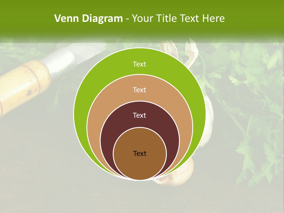 House Conditioner Cool PowerPoint Template