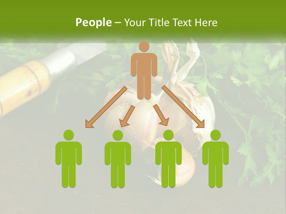 House Conditioner Cool PowerPoint Template