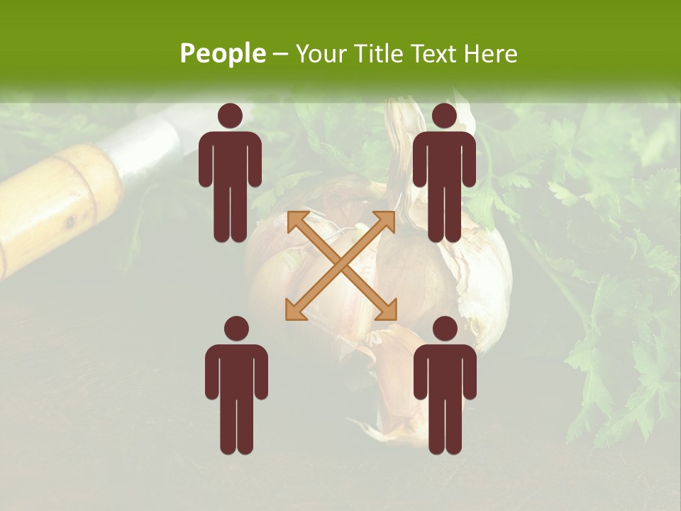 House Conditioner Cool PowerPoint Template