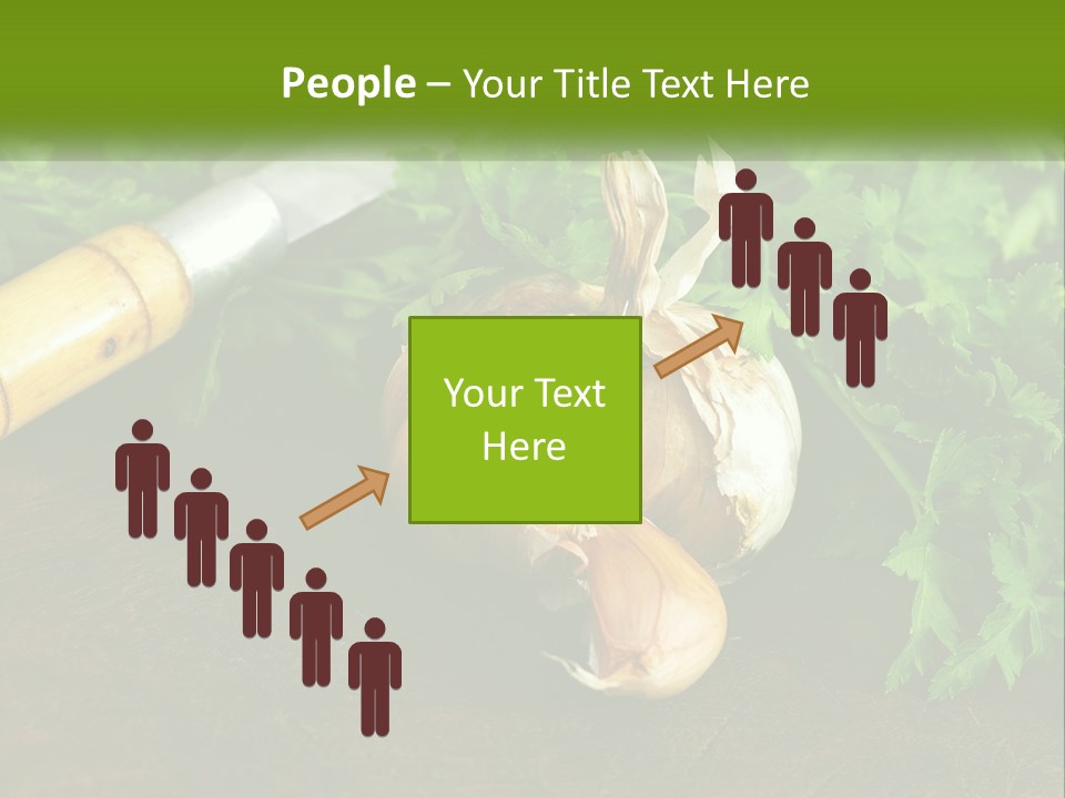 House Conditioner Cool PowerPoint Template