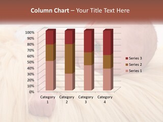 System Air Cool PowerPoint Template