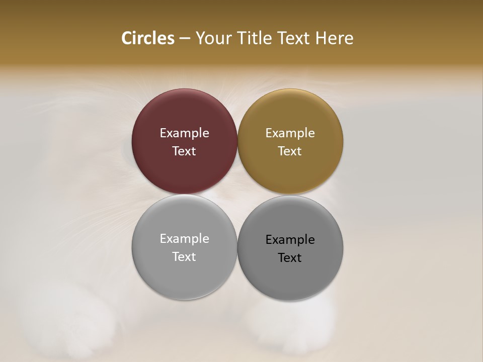 Energy Temperature Conditioner PowerPoint Template