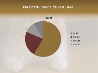 Energy Temperature Conditioner PowerPoint Template