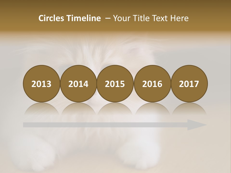Energy Temperature Conditioner PowerPoint Template