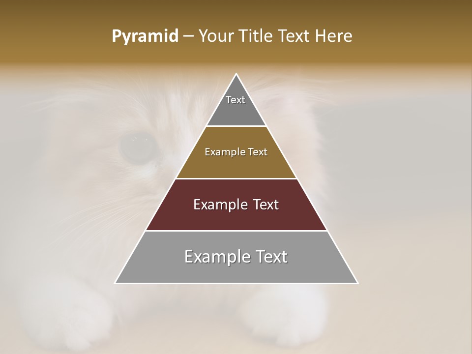 Energy Temperature Conditioner PowerPoint Template