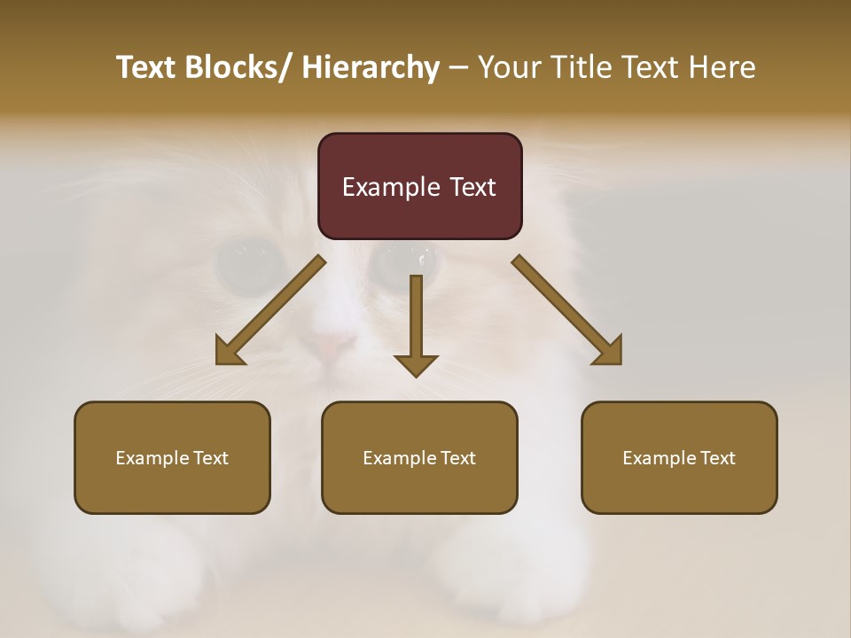 Energy Temperature Conditioner PowerPoint Template