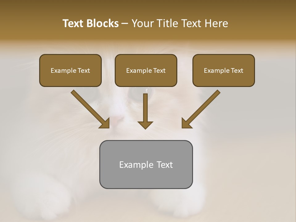 Energy Temperature Conditioner PowerPoint Template