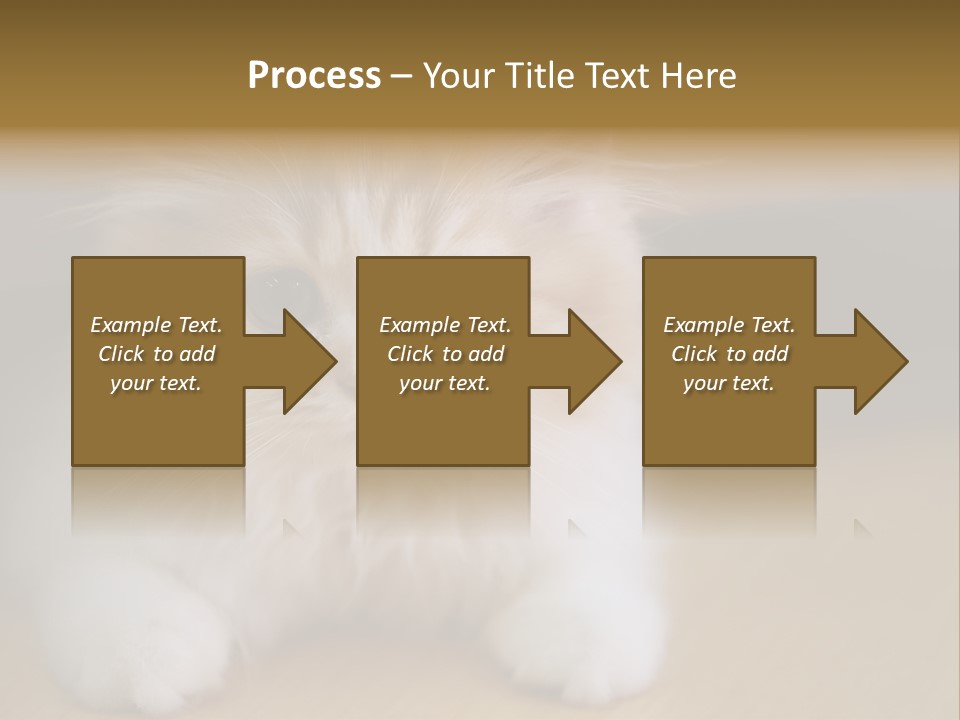 Energy Temperature Conditioner PowerPoint Template