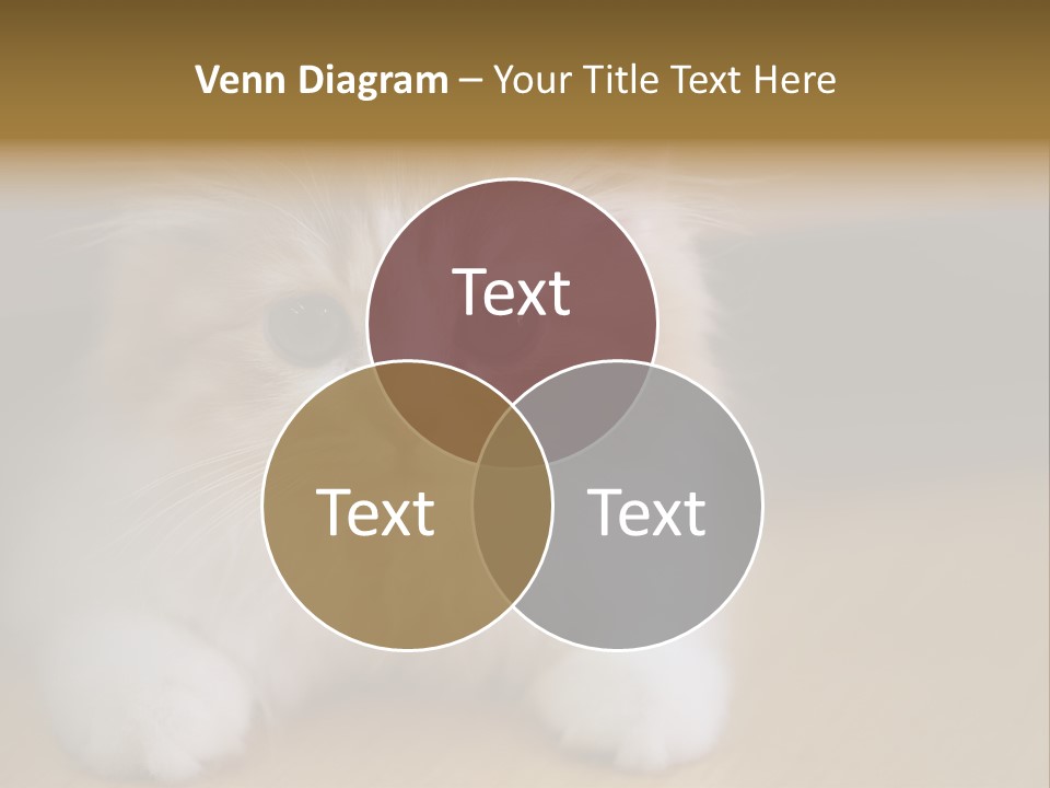 Energy Temperature Conditioner PowerPoint Template