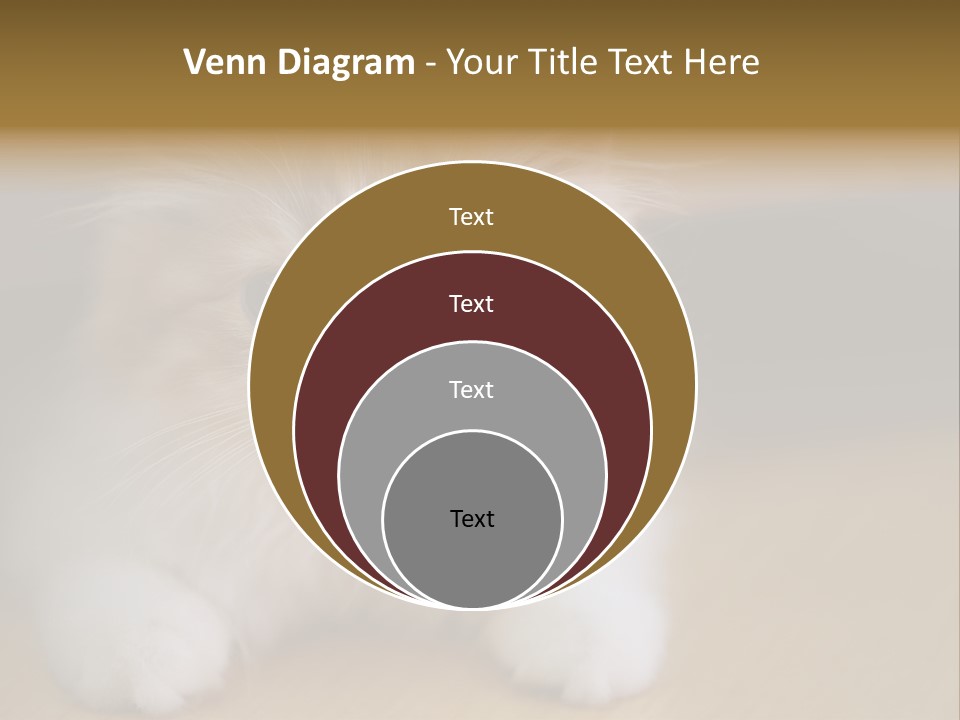 Energy Temperature Conditioner PowerPoint Template