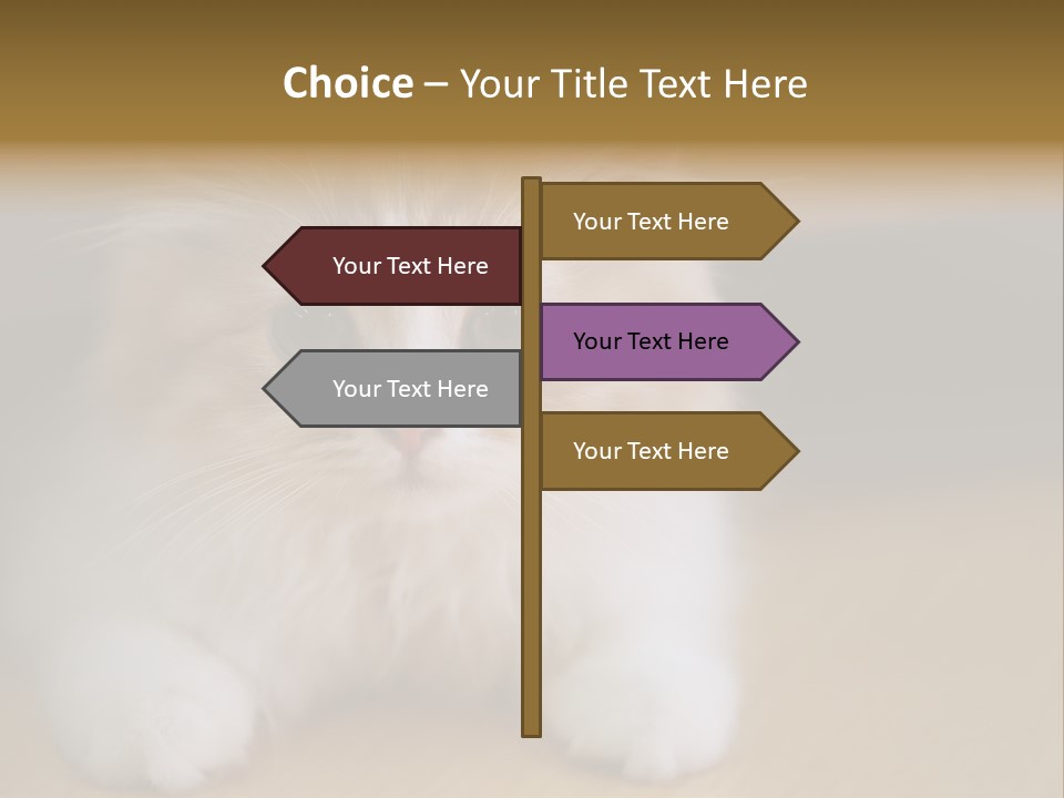 Energy Temperature Conditioner PowerPoint Template