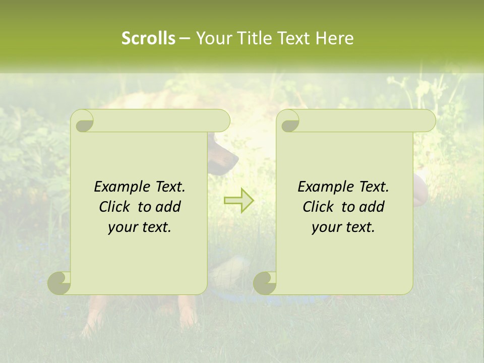 Technology White Switch PowerPoint Template