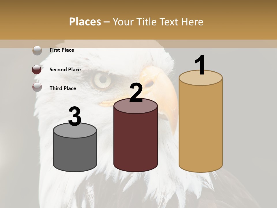 Condition Remote Cold PowerPoint Template